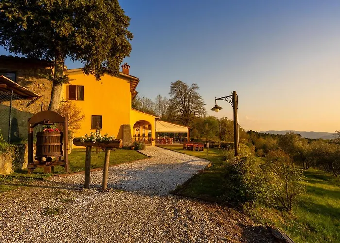 Tenuta Risalpiano Pelago